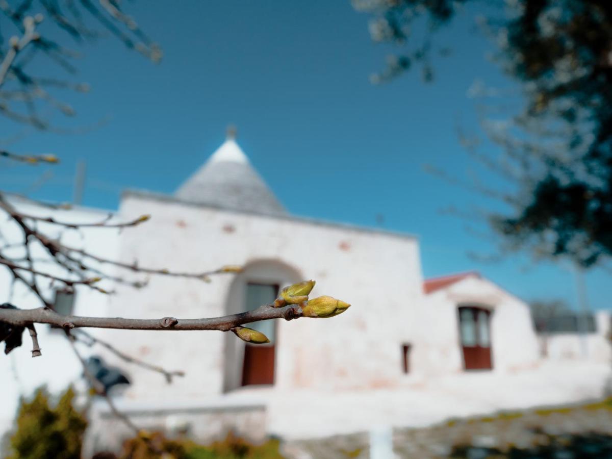 Rifugio Di Puglia - Trulli & Dimore Альберобелло Екстер'єр фото